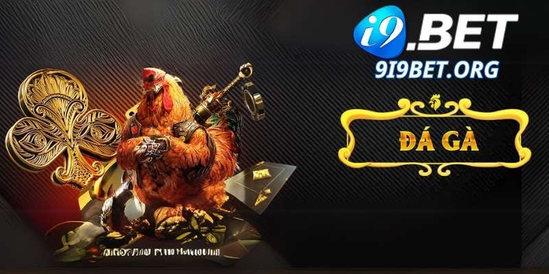 Điểm Nổi Bật Của Đá Gà i9bet