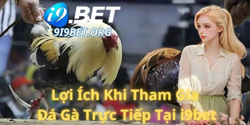 Lợi Ích Khi Tham Gia Đá Gà Trực Tiếp Tại i9bet